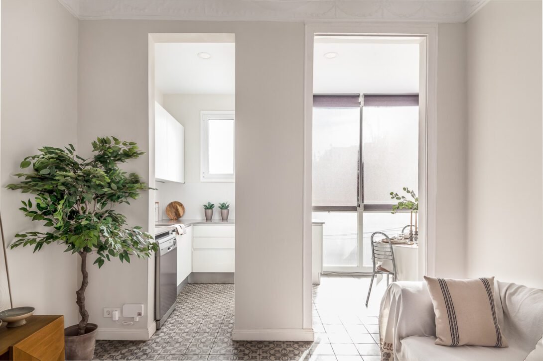 Semi open plan living room diner and kitchen featuring a large green plant and neutral colored furniture for residential interiors