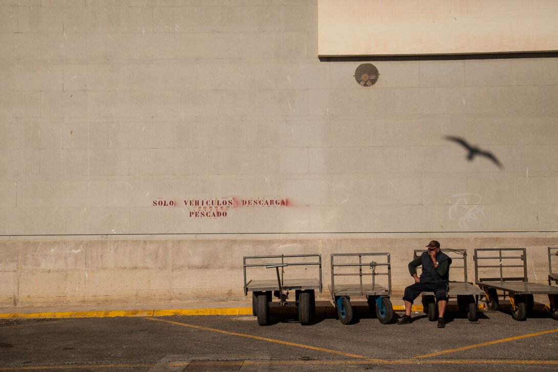 A man at a fishing dock sitting down on a trolley chewing a toothpick and a silhouette of a seagull on the backdrop of a wall